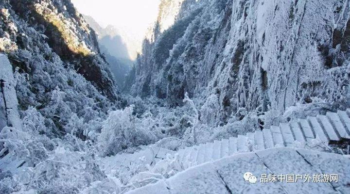 散布不实信息,扰乱公共秩序,赫山4人被处以行政处罚